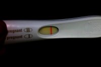 frer 003.jpg