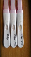 progression 12-16dpo.jpg
