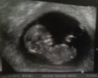 My pic 2.jpg