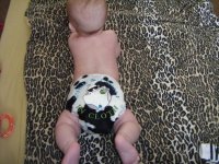 DSCF1080.jpg