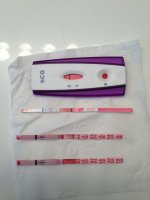 test4.jpg