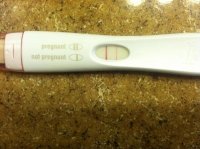 18dpo.jpg