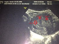 scan2.jpg