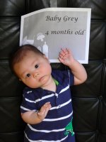 Baby-Grey-4-Months6.jpg