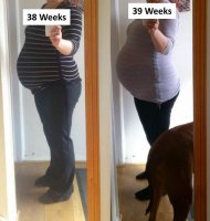 38 and 39 weeks.jpg