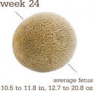 howbigisbaby_week24.jpg