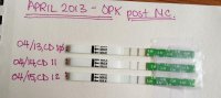 OPK.jpg