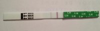 CD13.jpg