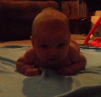 SAM_0566.jpg