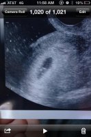 5wks417.jpg
