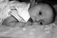 IMG_4878.jpg