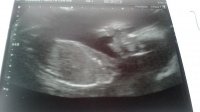 Our baby moo bean 21.jpg