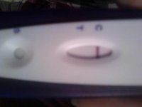 8dpo10.jpg