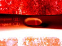IMG_20130423_145206.jpg