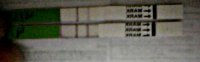 426 opk.jpg