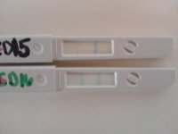 IMG_20130428_112308.jpg