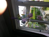 baby shower 3.jpg