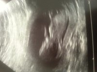 20130430_145810.jpg