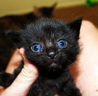 babies 065.jpg