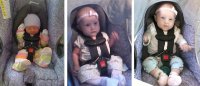 nb vs 8 vs 12 weeks.jpg