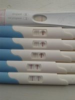 preggo.jpg