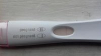 pos blood pg test.jpg