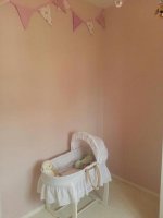 Nursery photo 2.jpg
