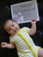 Baby Grey 5 Months - 1.jpg