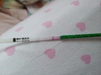 2013-05-12 14.19.58.jpg