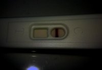 WP_20130512_054.jpg