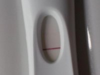 test.jpg