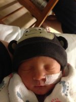3 days old my little monkey man.jpg