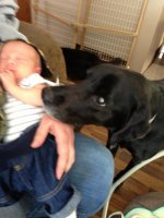 Max checking Tyler out just home from hospital.jpg
