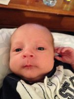 3 weeks old.jpg