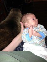 4 weeks 1 day sharing lap with zoey.jpg