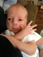 2 weeks 5 days pimp hand.jpg