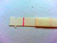 IMG_20130518_163120.jpg