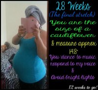 28weeks.jpg