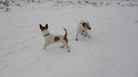 DSC01310.jpg