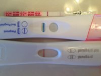 photo (11).jpg