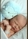 Screenshot_2013-05-13-13-48-02-1.png