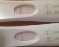 photo (14).jpg