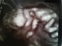 20130523_144323.jpg