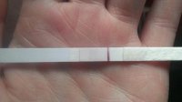 14dpo ...jpg