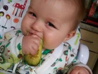 avocado.jpg
