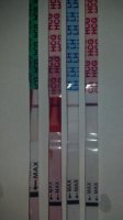 IMG_20130528_112545_990.jpg