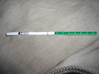 CIMG3941.jpg