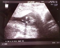Picture 111.jpg