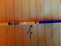 IMG_20130530_081313.jpg