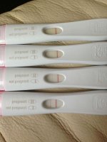 photo (24).jpg